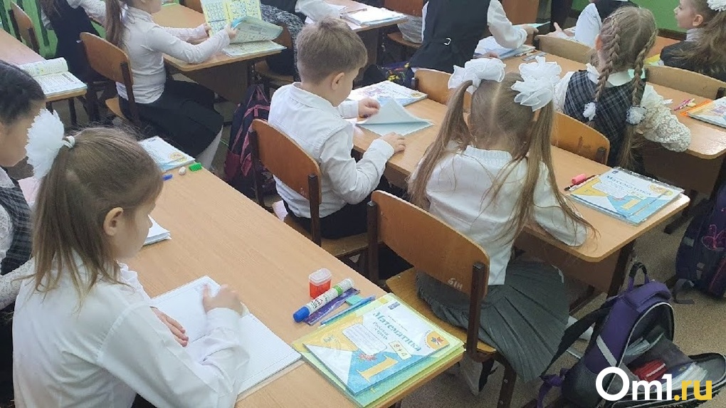 «Шла кровь от стресса». В Омске учительницу обвиняют в травле пятиклассника из-за доклада о жизни Есенина
