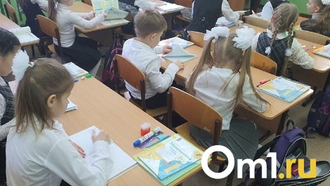 «Шла кровь от стресса». В Омске учительницу обвиняют в травле пятиклассника из-за доклада о жизни Есенина