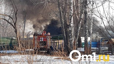 В Калининском районе Новосибирска загорелись мусор и обшивка теплотрассы