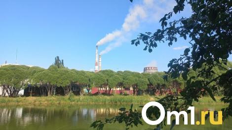 В одном из округов Омска зафиксировано превышение ПДК оксида углерода