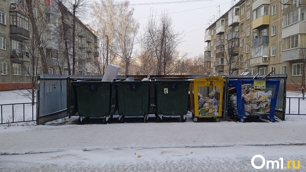 Жители Новосибирска жалуются на кучи мусора в Центральном районе