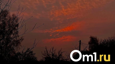 Омский планетарий опубликовал фото кометы Нишимура
