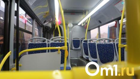 В Омске чаще всего оказываются без билета школьники и студенты