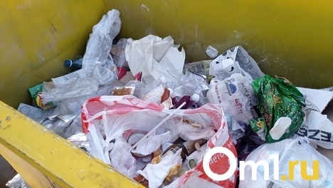 В Новосибирске предложили оптимальные технологии переработки отходов