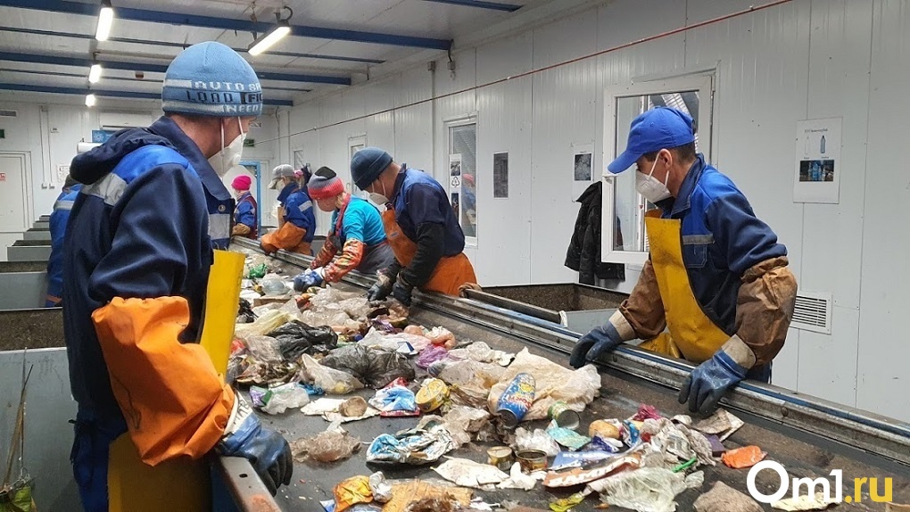 Стало известно, когда Новосибирская область полностью перейдёт на раздельный сбор мусора