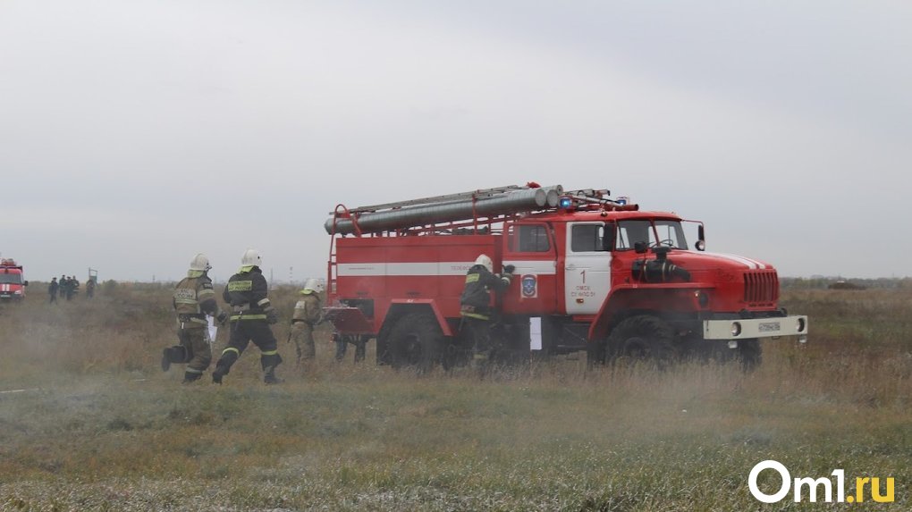 Ещё один масштабный пожар случился в Омской области – огонь не остановила даже минерализованная полоса