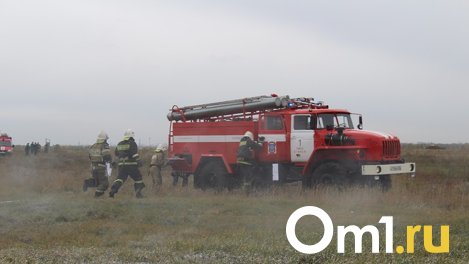 Ещё один масштабный пожар случился в Омской области – огонь не остановила даже минерализованная полоса