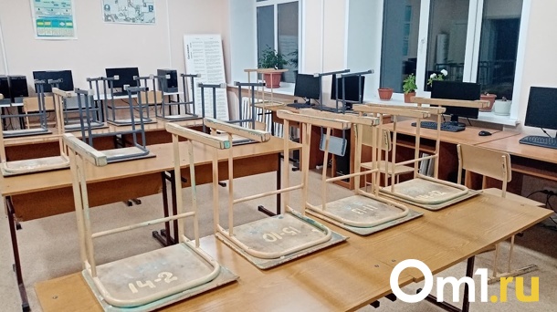 В омском Депобре рассказали, при какой температуре отменяются уроки в школе