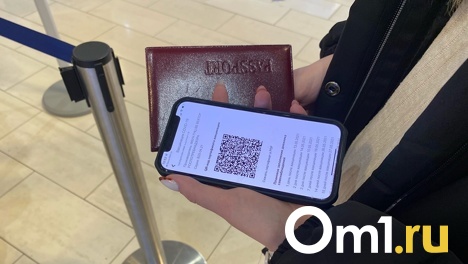 В Новосибирске усилят контроль за соблюдением режима QR-кодов