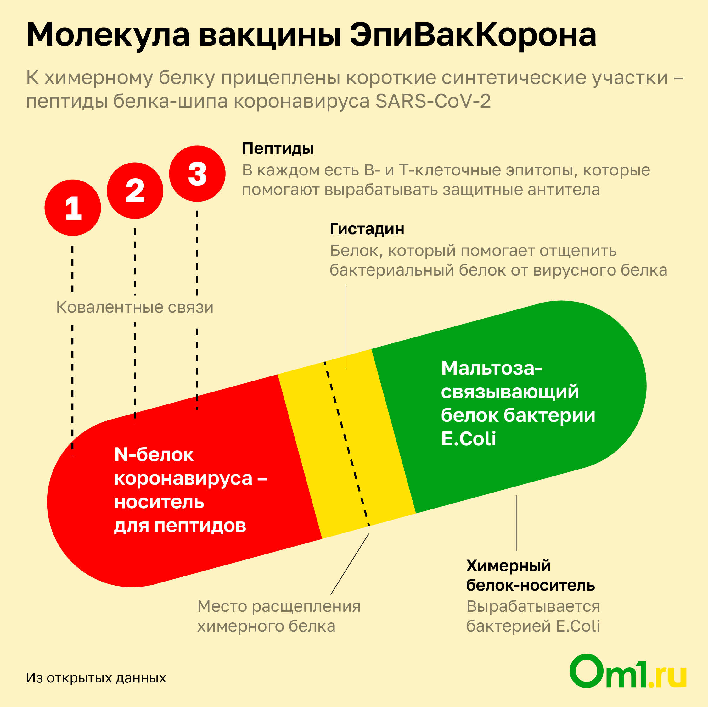 Эпиваккорона Вакцина Фото Упаковки И Флакона