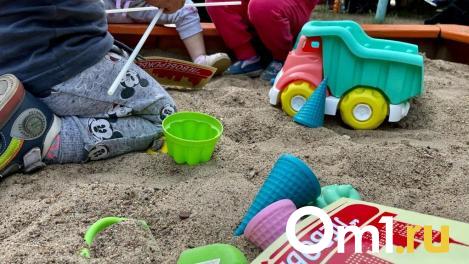 На заведующую омским детсадом, где покусали ребёнка, завели дело