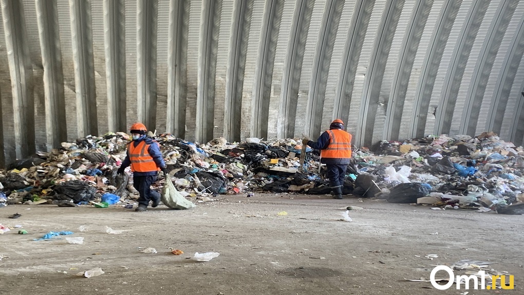 Более 60 жалоб на вывоз мусора поступило в Новосибирске за два дня