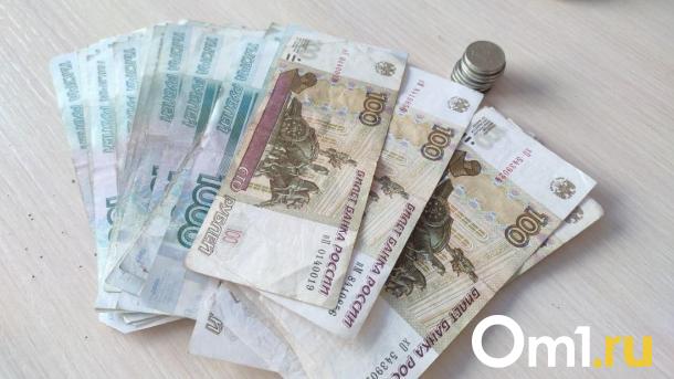 Новосибирский депутат предложил увеличить выплаты при рождении ребёнка
