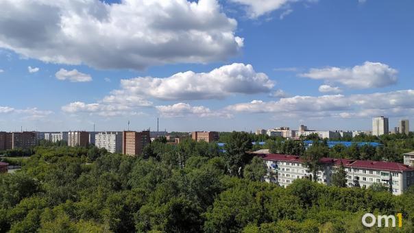 Ушла гулять неделю назад. В Омске объявили в розыск 17-летнюю девушку