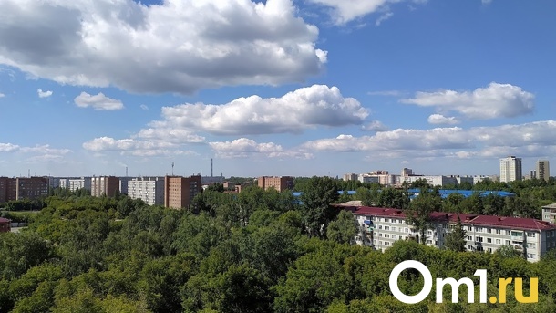 Ушла гулять неделю назад. В Омске объявили в розыск 17-летнюю девушку