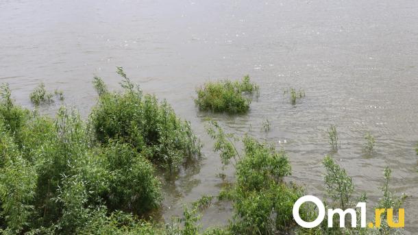 В МЧС предупредили об угрозе паводка в Омской области из-за сильных дождей