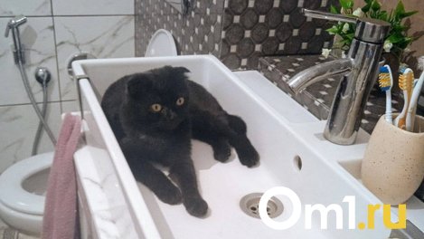Омичей лишат холодной воды на 12 часов