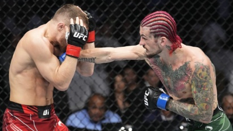 Тяжёлый бой: омский боец Пётр Ян проиграл Шону О’Мэлли UFC 280
