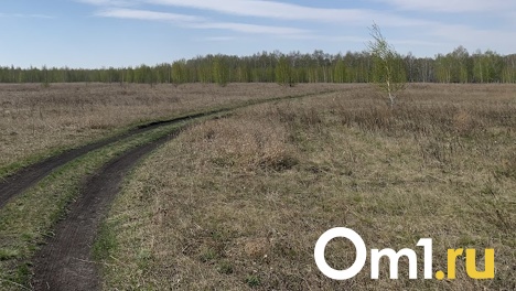 Опасные фекалии загрязнили десятки тысяч квадратных метров Омской области