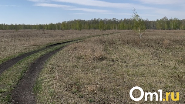 Опасные фекалии загрязнили десятки тысяч квадратных метров Омской области