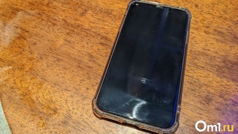 Омич украл телефон у 10-летнего ребёнка в Советском парке