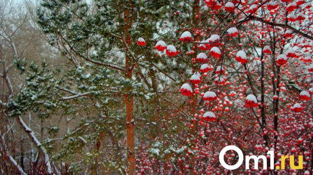 Опубликована дата мощного снегопада в Омской области