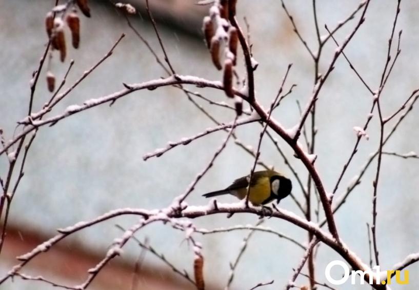 Изображение фоторепортажа