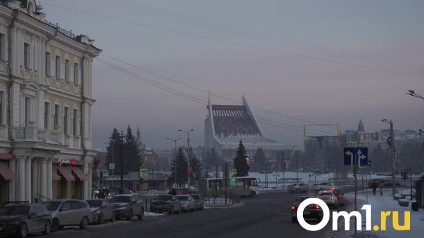 Бесплатные билеты с выборов не будут работать у омских частников