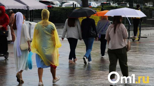 В Омской области пройдёт первый весенний ливень