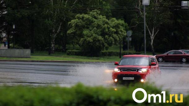 Стало известно, где в Омской области разместят 144 дорожные камеры