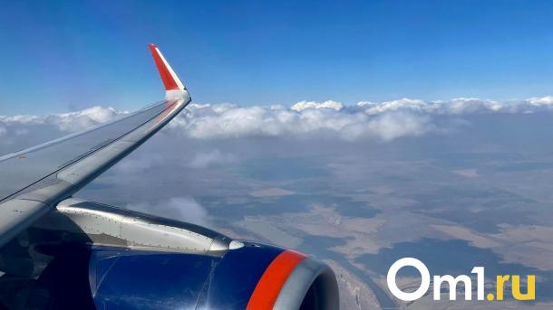 Airbus A321 ушёл на второй круг из-за ложного сигнала над Новосибирском