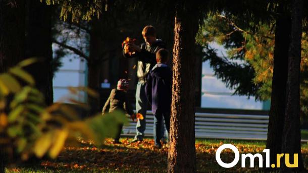 Тепло ещё постоит: стало известно, какую погоду ждать омичам в октябре