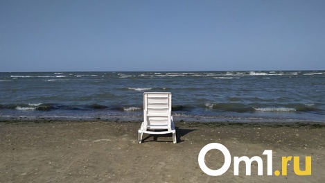Число омичей, которые проведут отпуск на даче, превысило число тех, кто отправится за границу