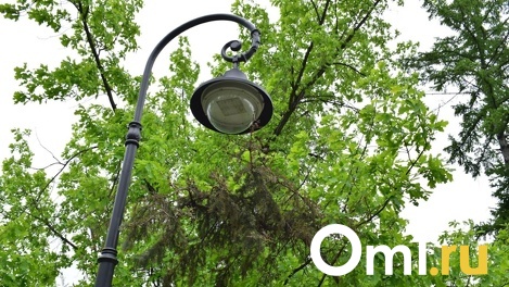Чиновников Омской области заставляют осветить слишком тёмную дорогу