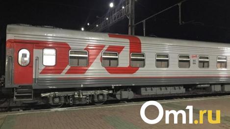 В Москве под колёсами электрички погибла омичка, спасая собаку