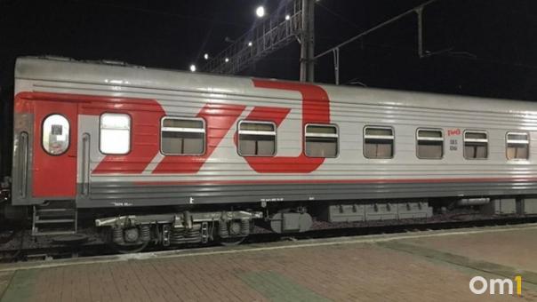 В Москве под колёсами электрички погибла омичка, спасая собаку