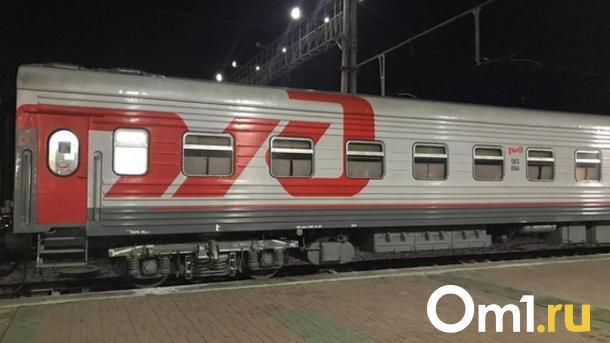 В Москве под колёсами электрички погибла омичка, спасая собаку