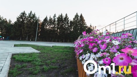 В Омске на покупку цветов для украшения скверов и парков выделили 2,8 миллиона рублей