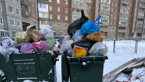 Мусорные войны: омская многоэтажка эвакуировала контейнеры с отходами во двор к соседям