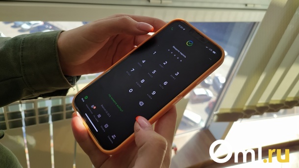В Омске продают iPhone со «Сбером» за 250 тысяч рублей