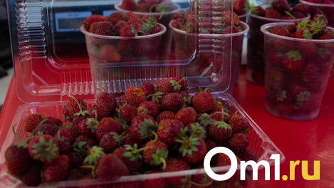 Скоро сгорит: омичи вёдрами собирают землянику