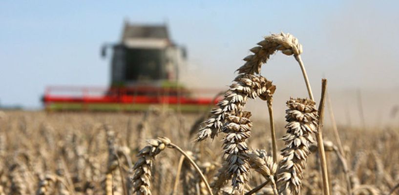 Аграрии Омской области получат из федерального бюджета больше 3-х миллиардов