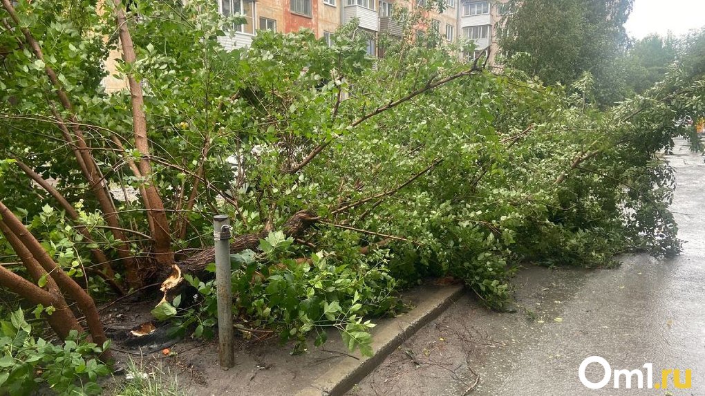 Спасатели весь вечер устраняли последствия шторма в Новосибирске