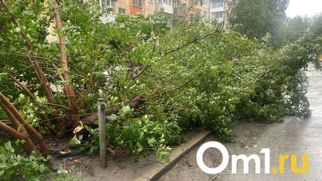 Спасатели весь вечер устраняли последствия шторма в Новосибирске