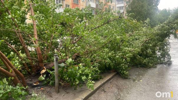 Спасатели весь вечер устраняли последствия шторма в Новосибирске