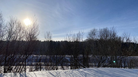 В МВД отказались от возбуждения уголовного дела после голосования о застройке Нижней Ельцовке