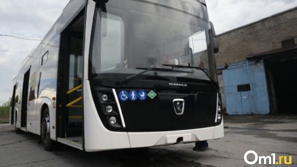 Мэрия Новосибирска приобрела 205 новых автобусов