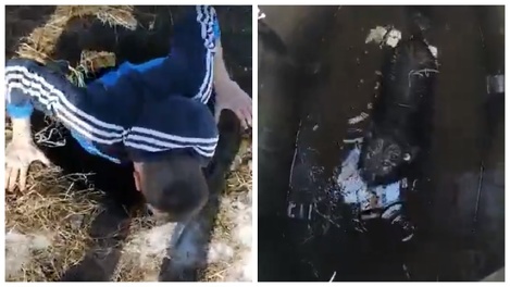 «Больше в неприятности не попадёт»: новосибирские подростки спасли бездомную собаку, упавшую в колодец