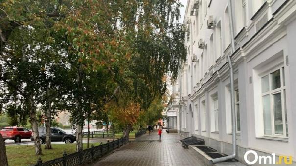 За стеной омской мэрии хотят открыть ресторан