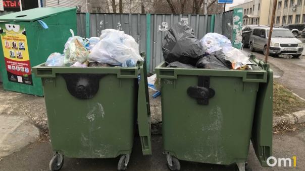«Экологию-Новосибирск» не лишат статуса регионального оператора из-за мусорной забастовки